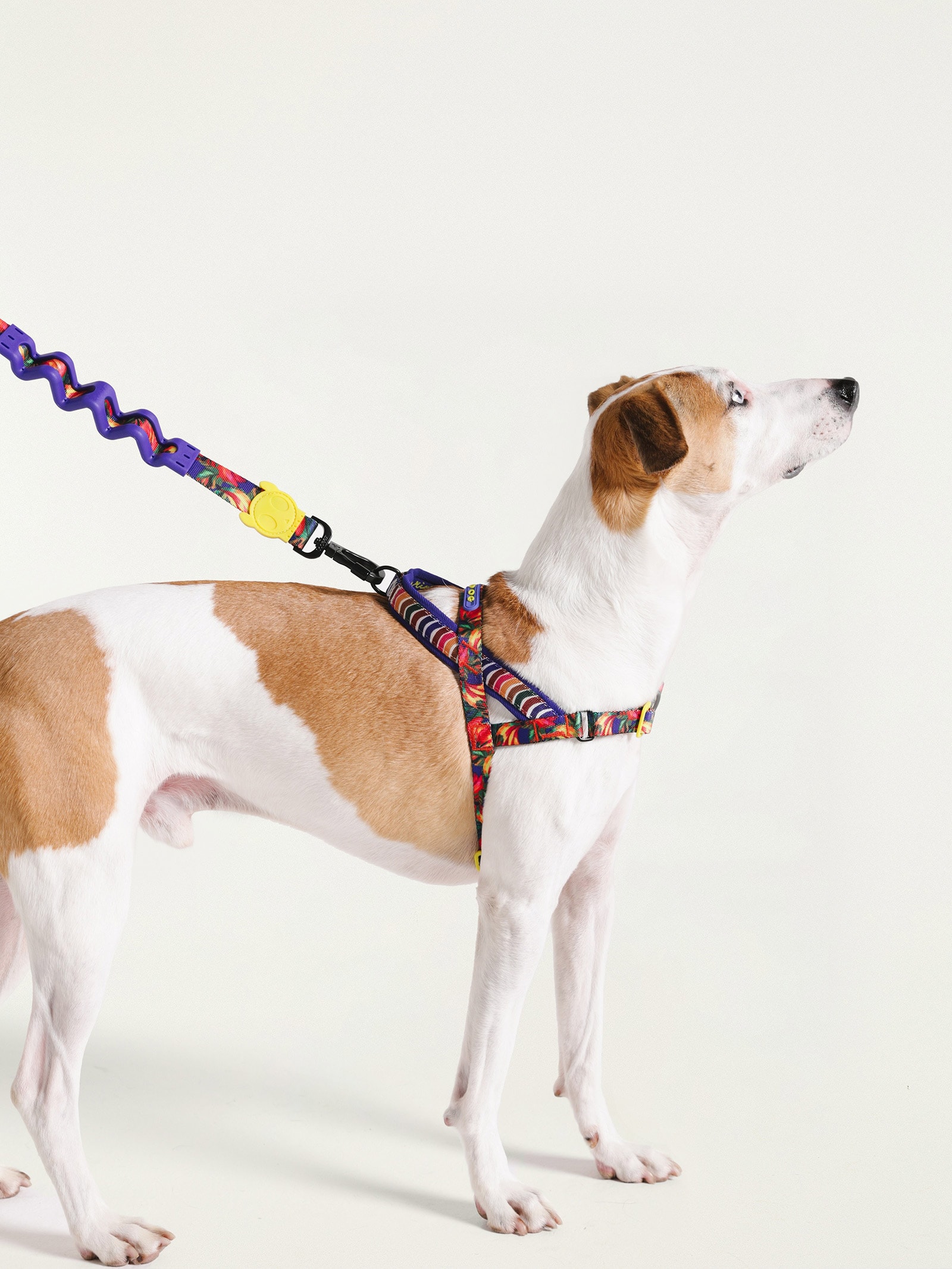 Peitoral Softwalk Mix Azul Farm Etc + Zeedog