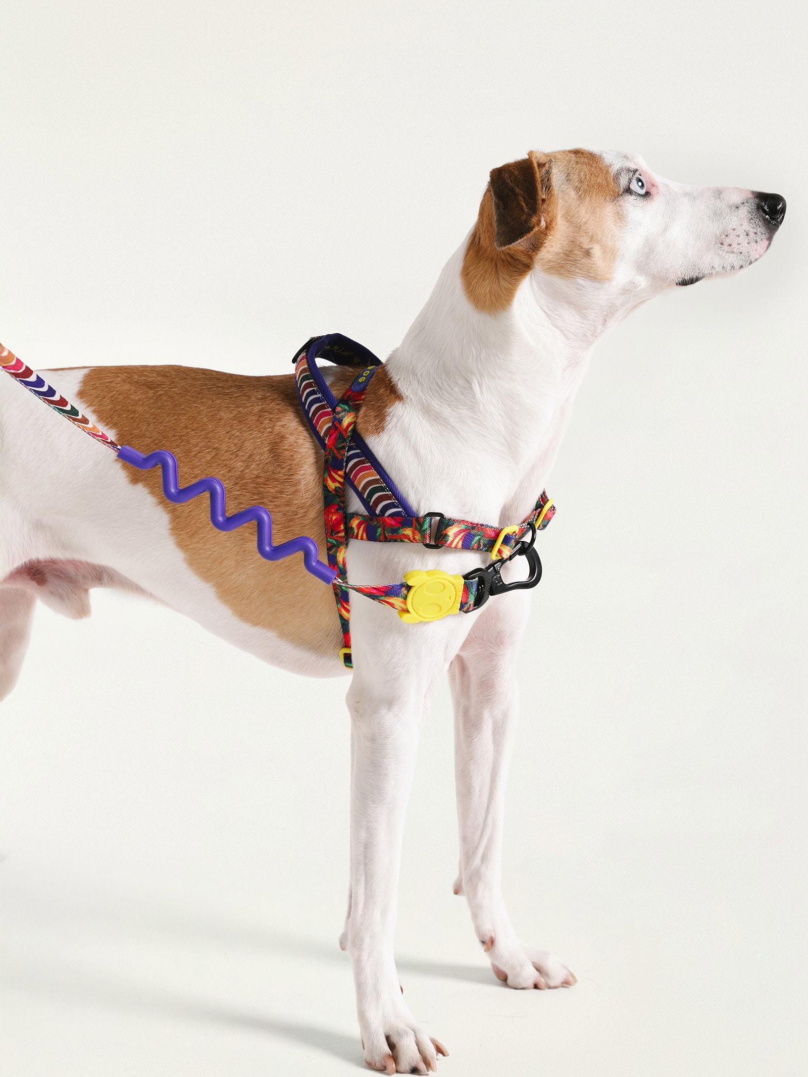 Peitoral Softwalk Mix Azul Farm Etc + Zeedog