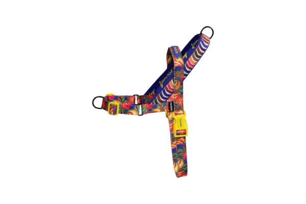 Peitoral Softwalk Mix - Azul