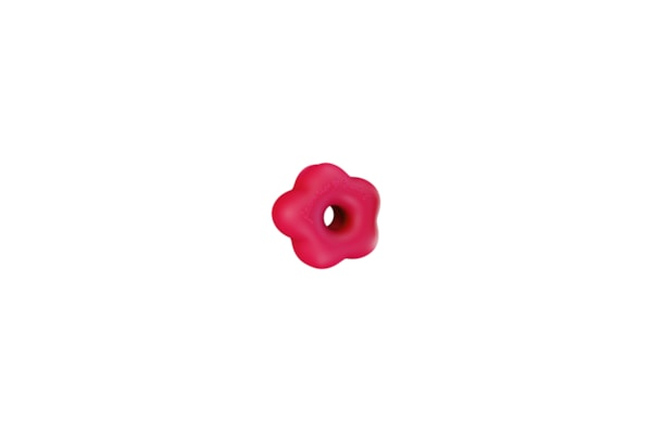 Pinz Flor Farm Etc Zeedog Rosa - Rosa