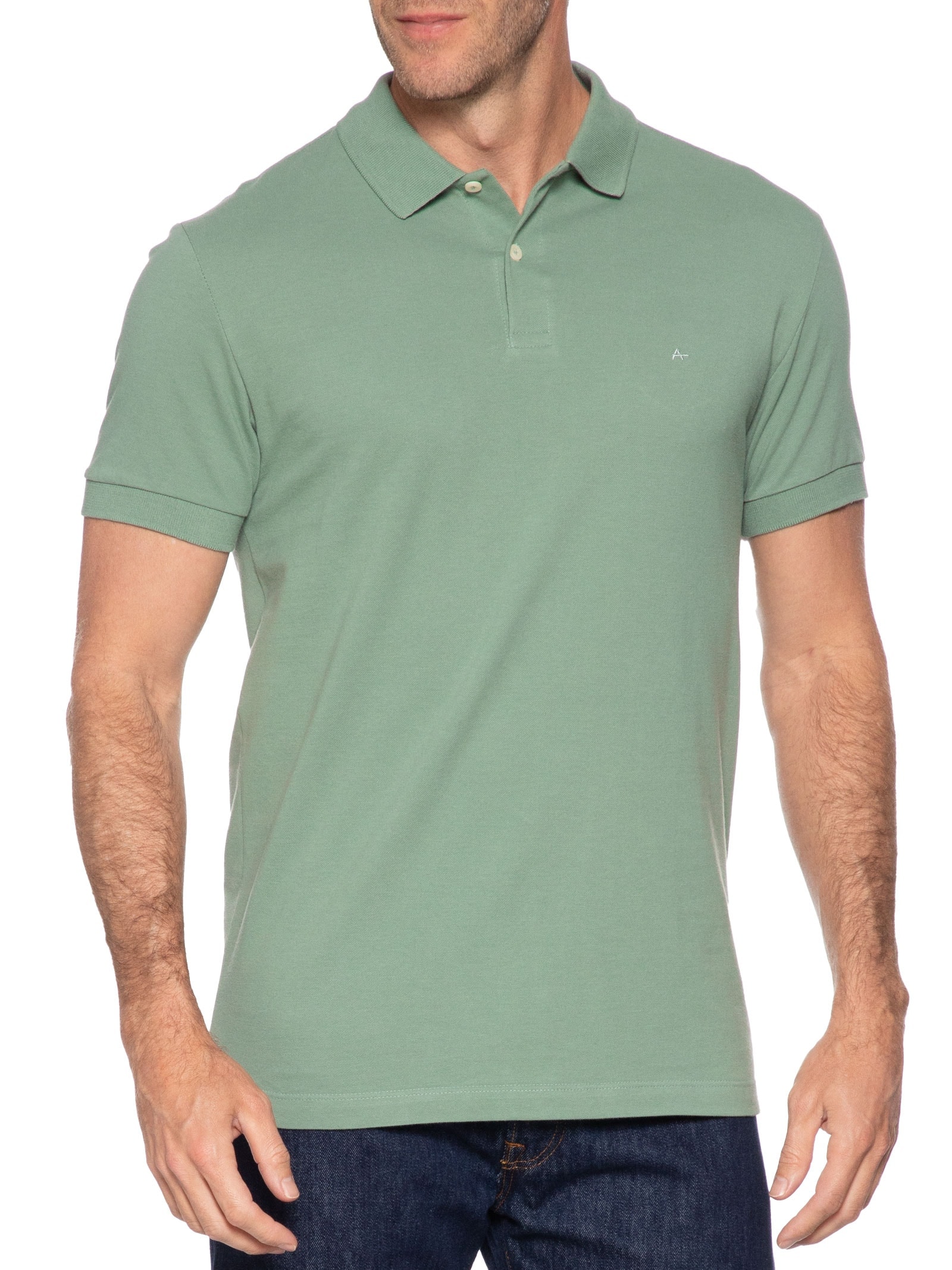 Polo Masculina Básica Piquet Verde  Aramis