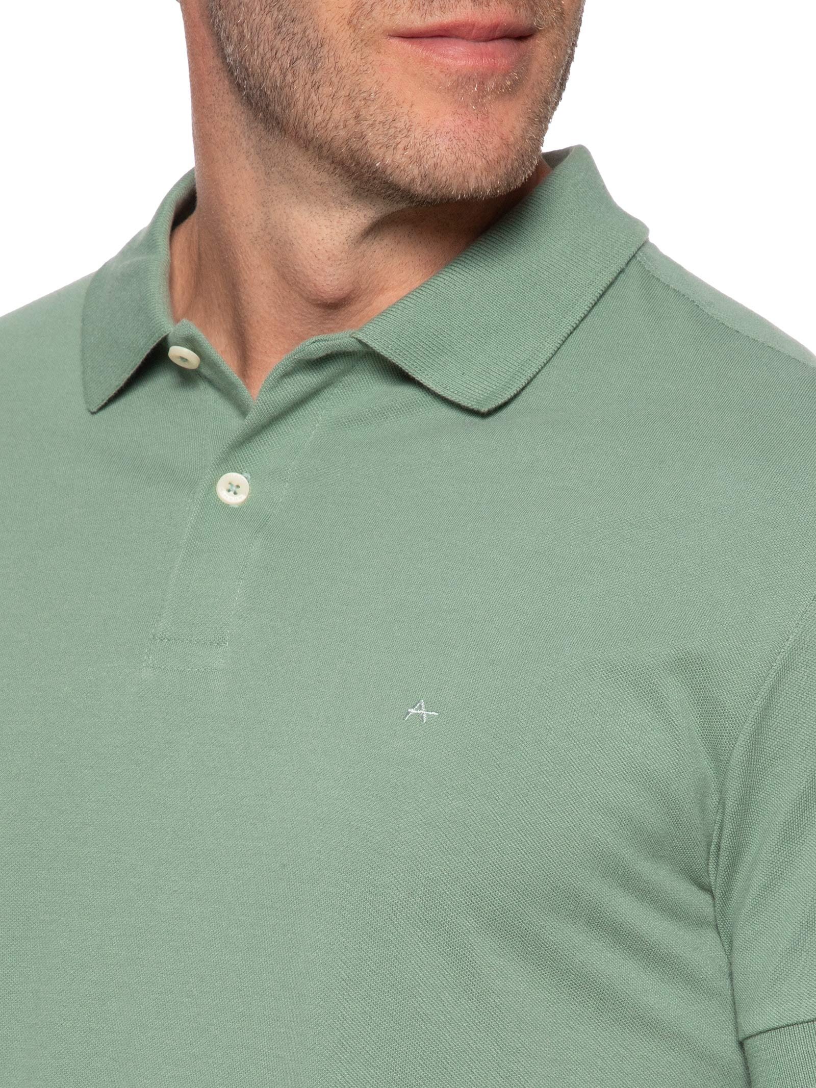 Polo Masculina Básica Piquet Verde  Aramis