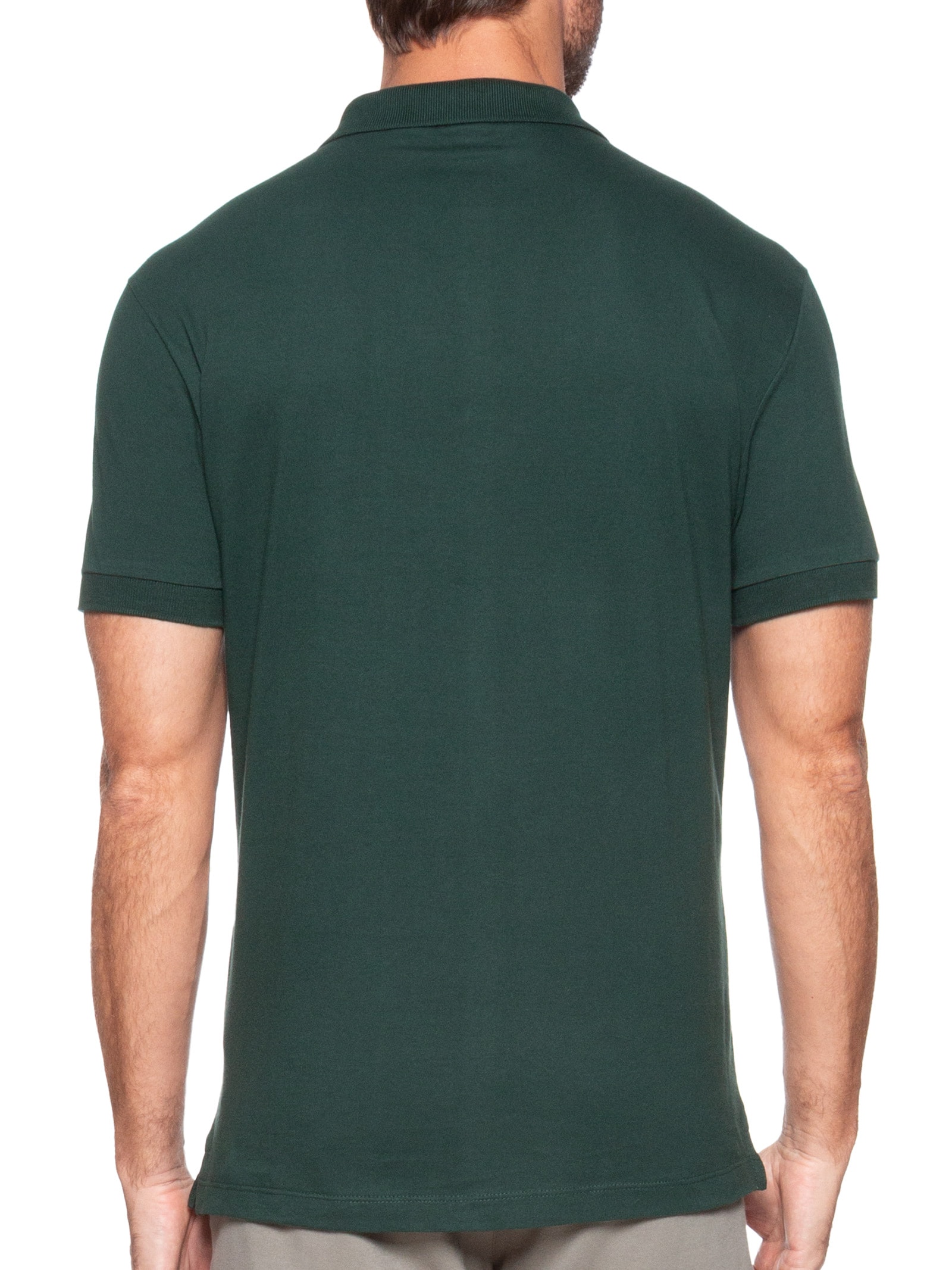 Polo Masculina Básica Regular Fit em 1/2 Malha Lisa Vinho  Aramis