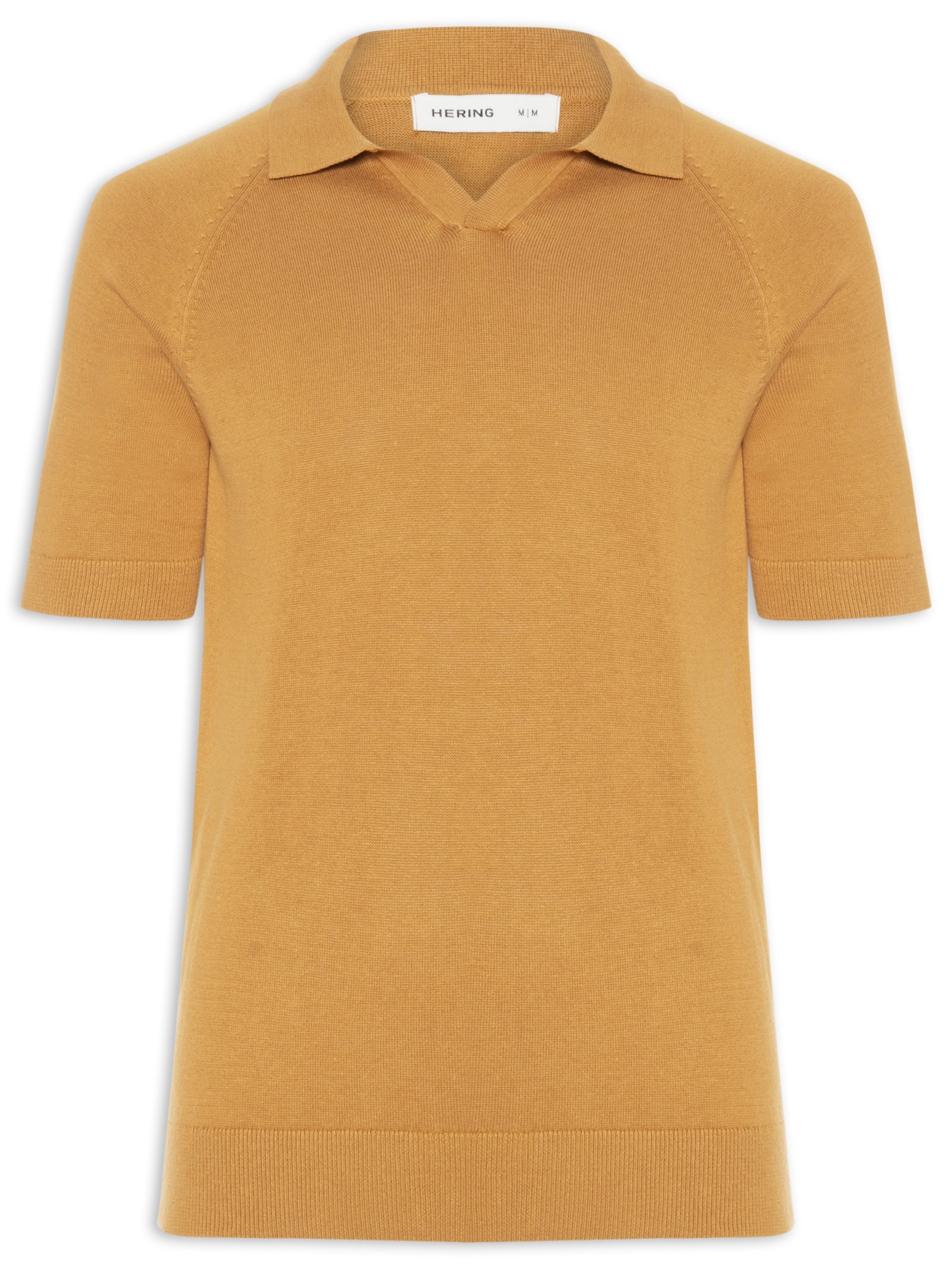 Polo Masculina em Tricô Regular Fit Bege Hering