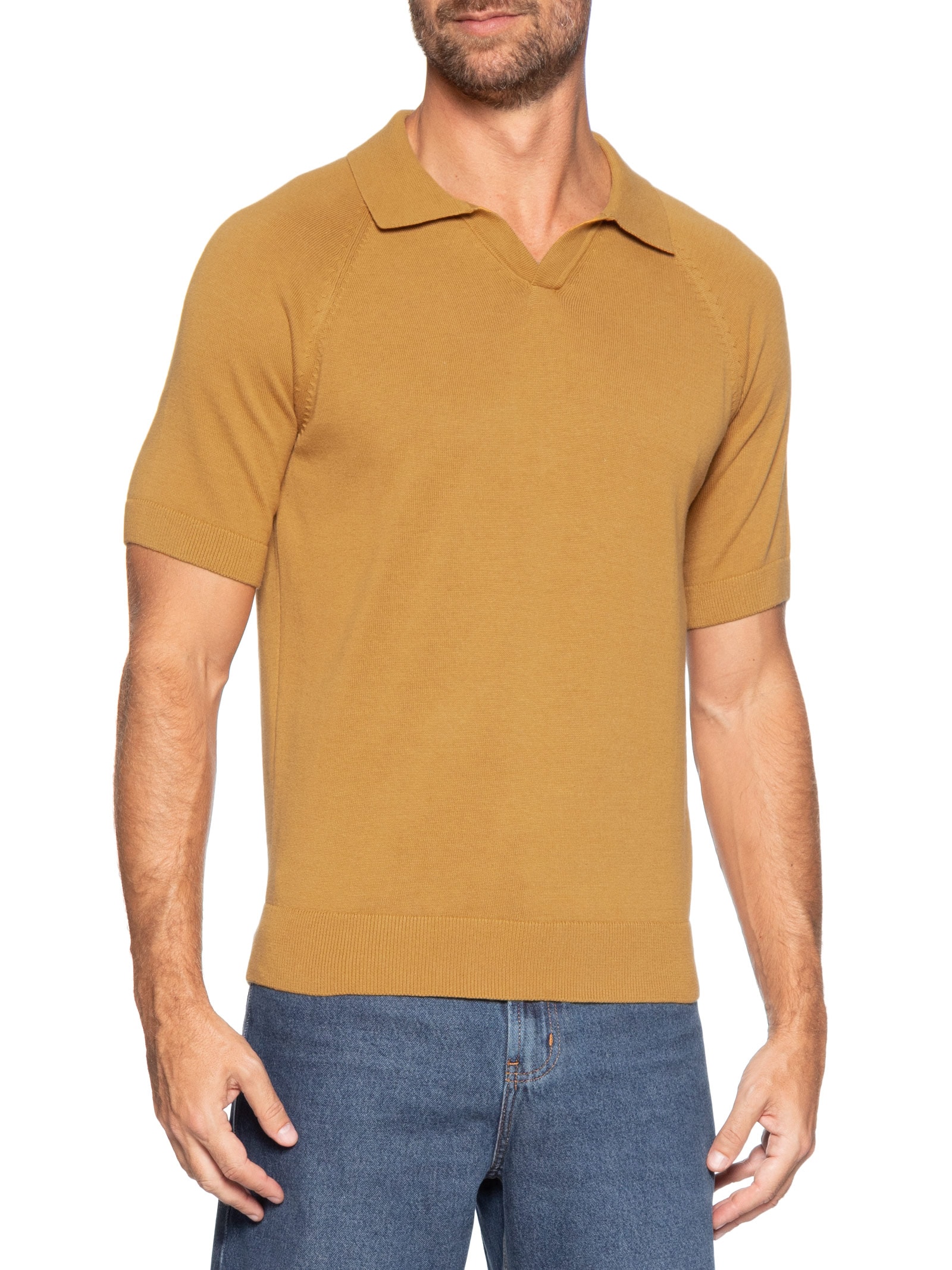 Polo Masculina em Tricô Regular Fit Bege Hering