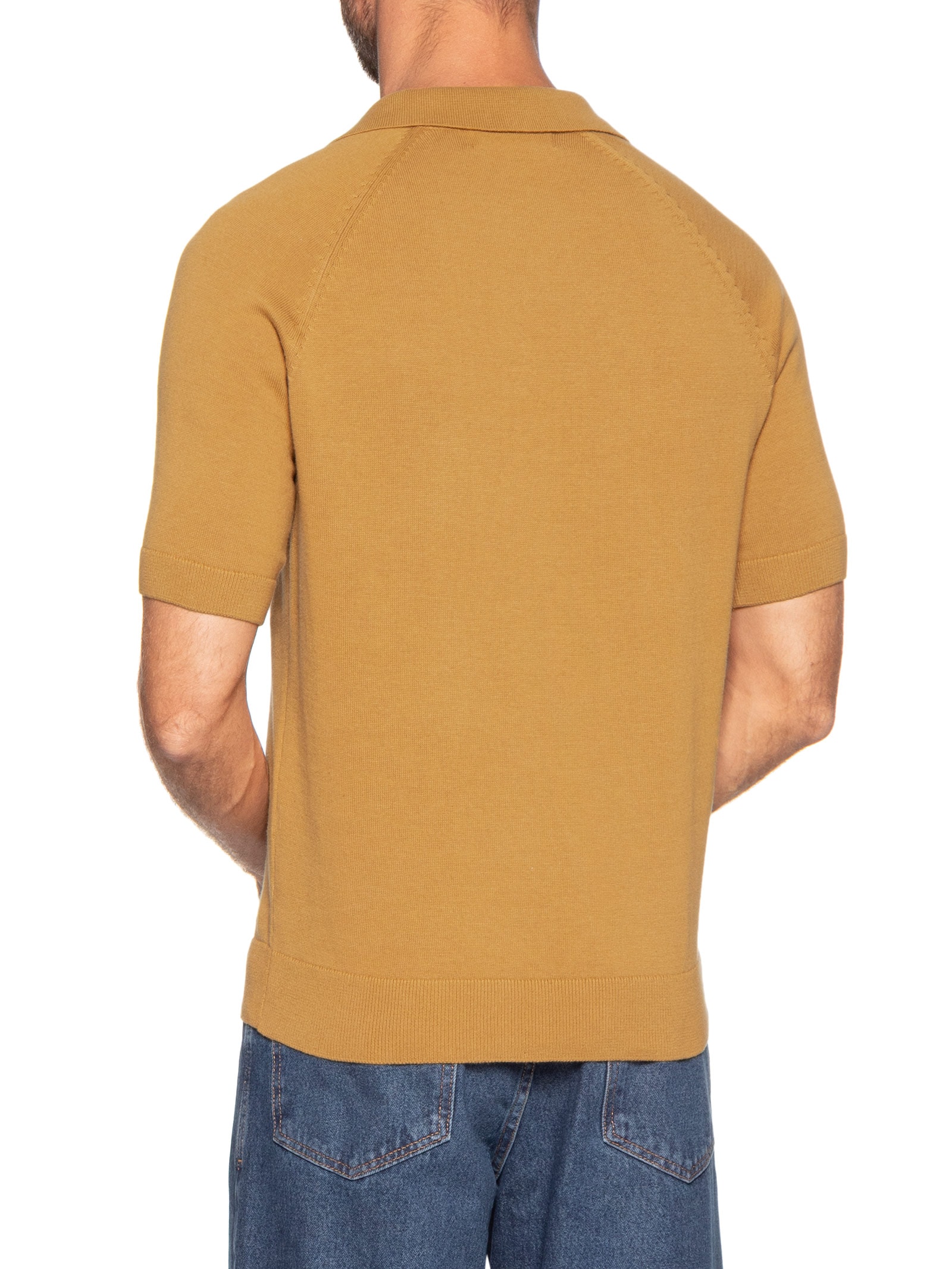 Polo Masculina em Tricô Regular Fit Bege Hering