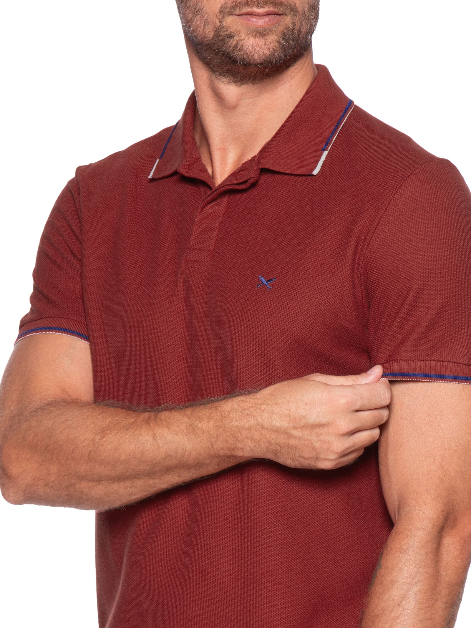 Polo Masculina Piquet Friso Contrastante Vermelho Hering
