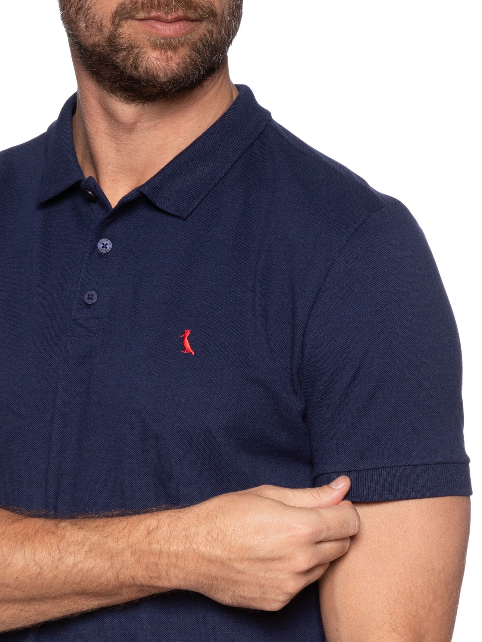 Polo Masculina Piquet Pica Pau Vermelho Azul Reserva