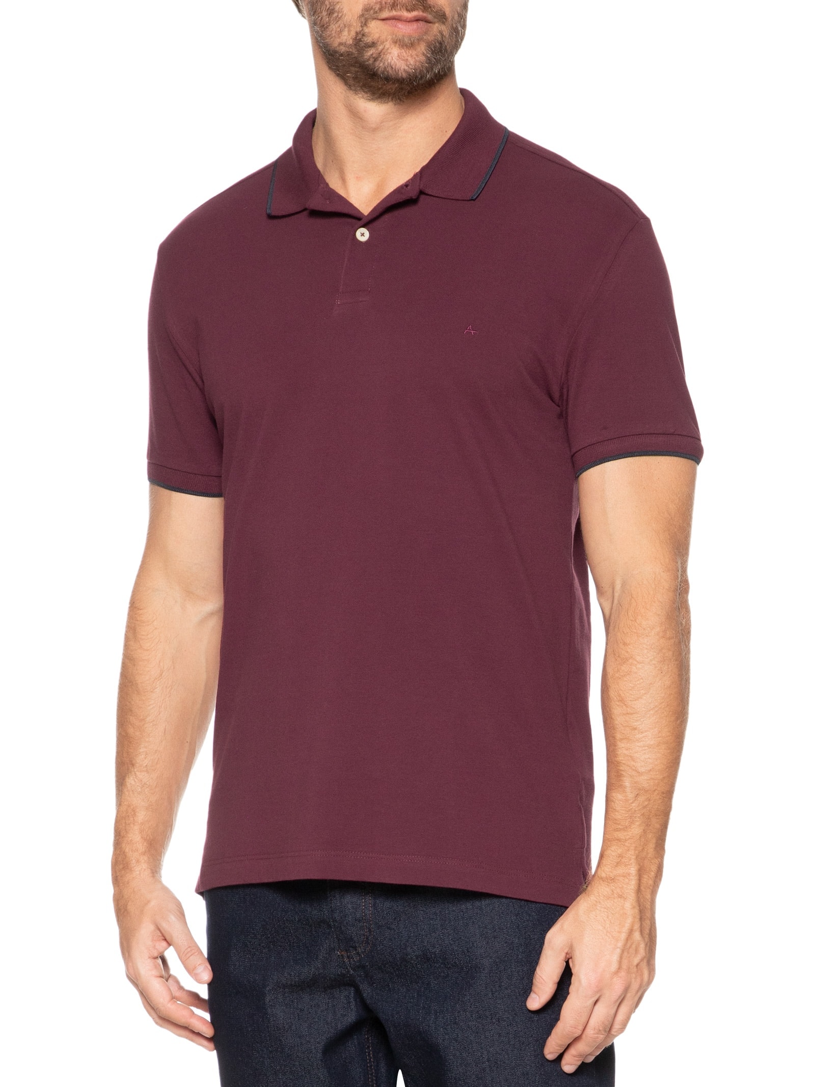 Polo Masculina Regular Fit Classic 1 Friso Vinho Aramis