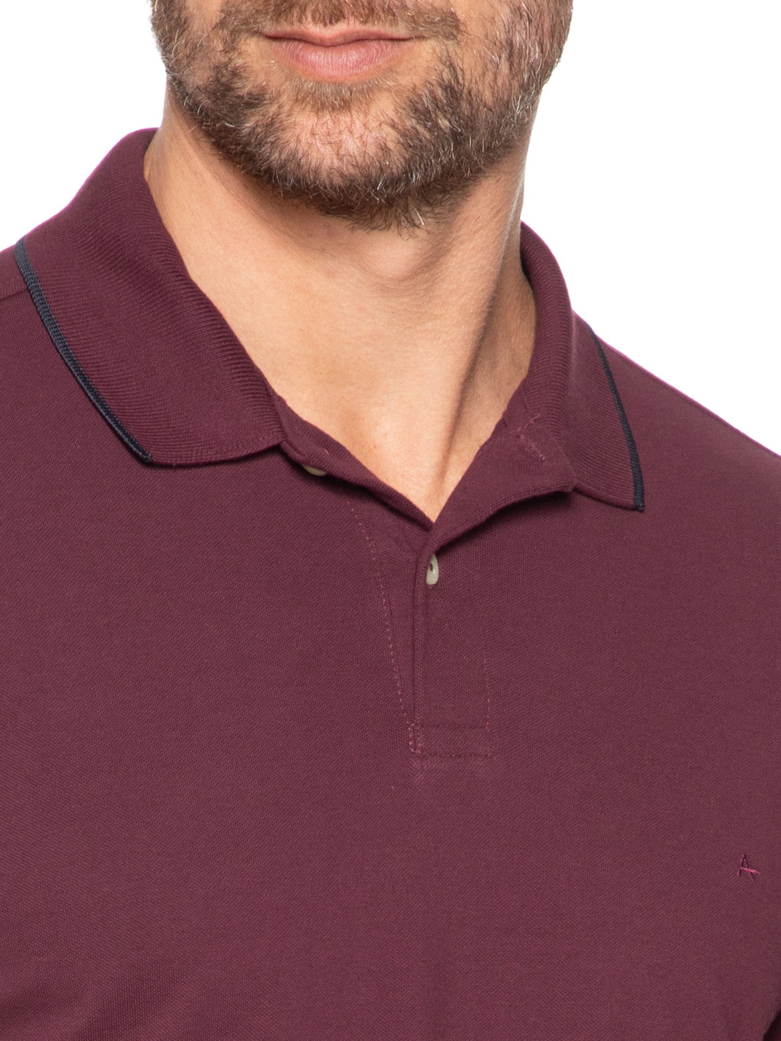 Polo Masculina Regular Fit Classic 1 Friso Vinho Aramis