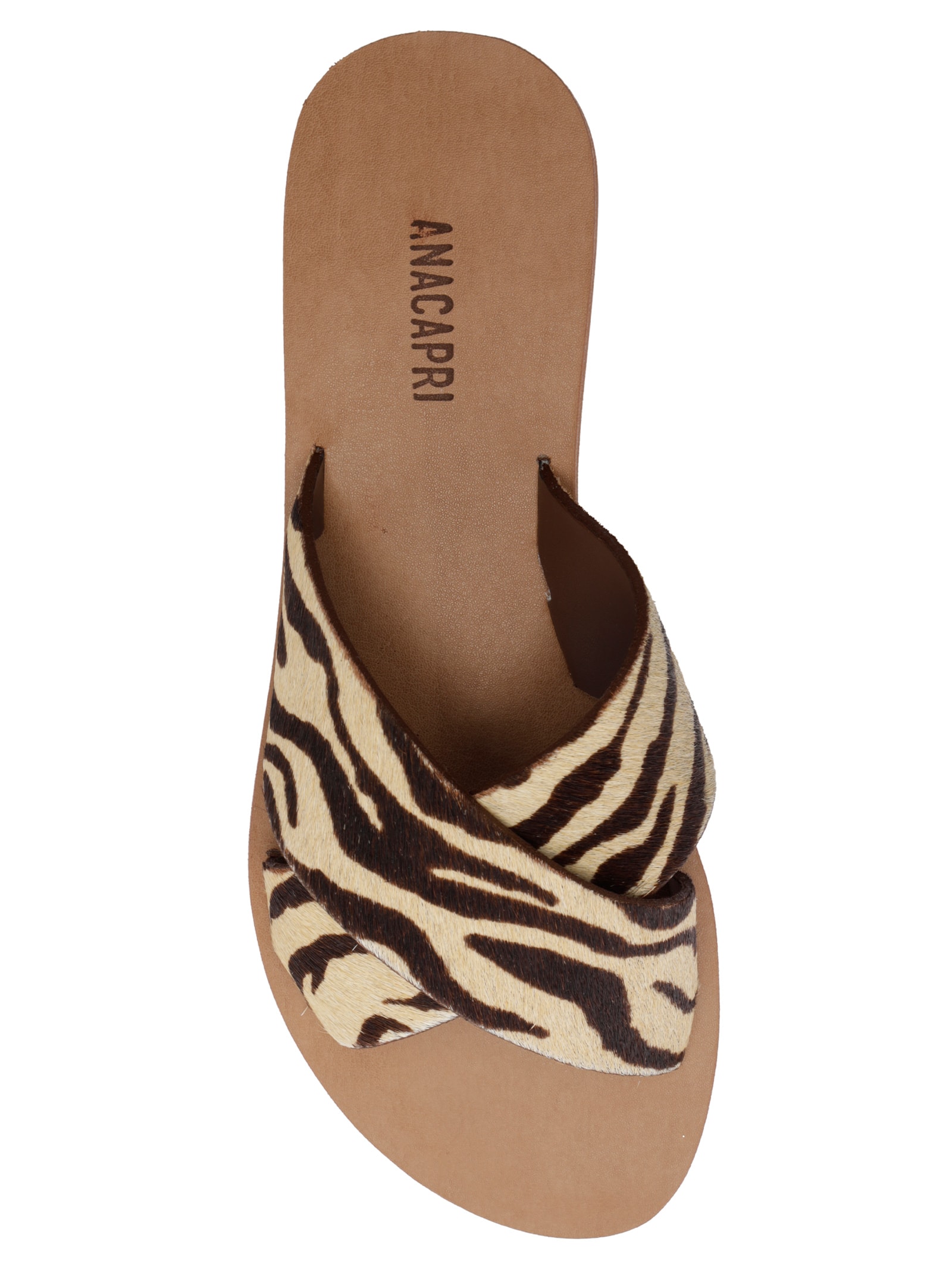 Sandália Rasteira Feminina Cruzadas Couro Animal Print Anacapri