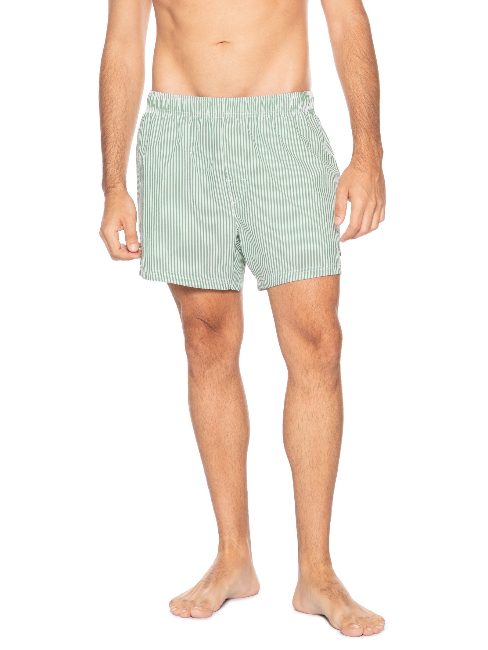Short Masculino Beach Litoral Stripes Verde Osklen
