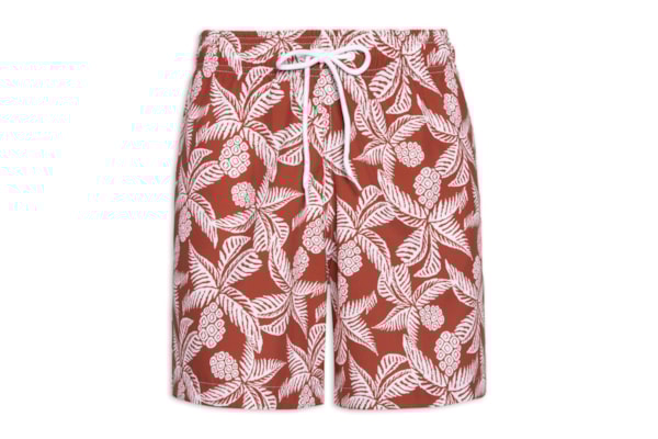 Short Masculino Beachwear Estampa Coqueiro - Laranja