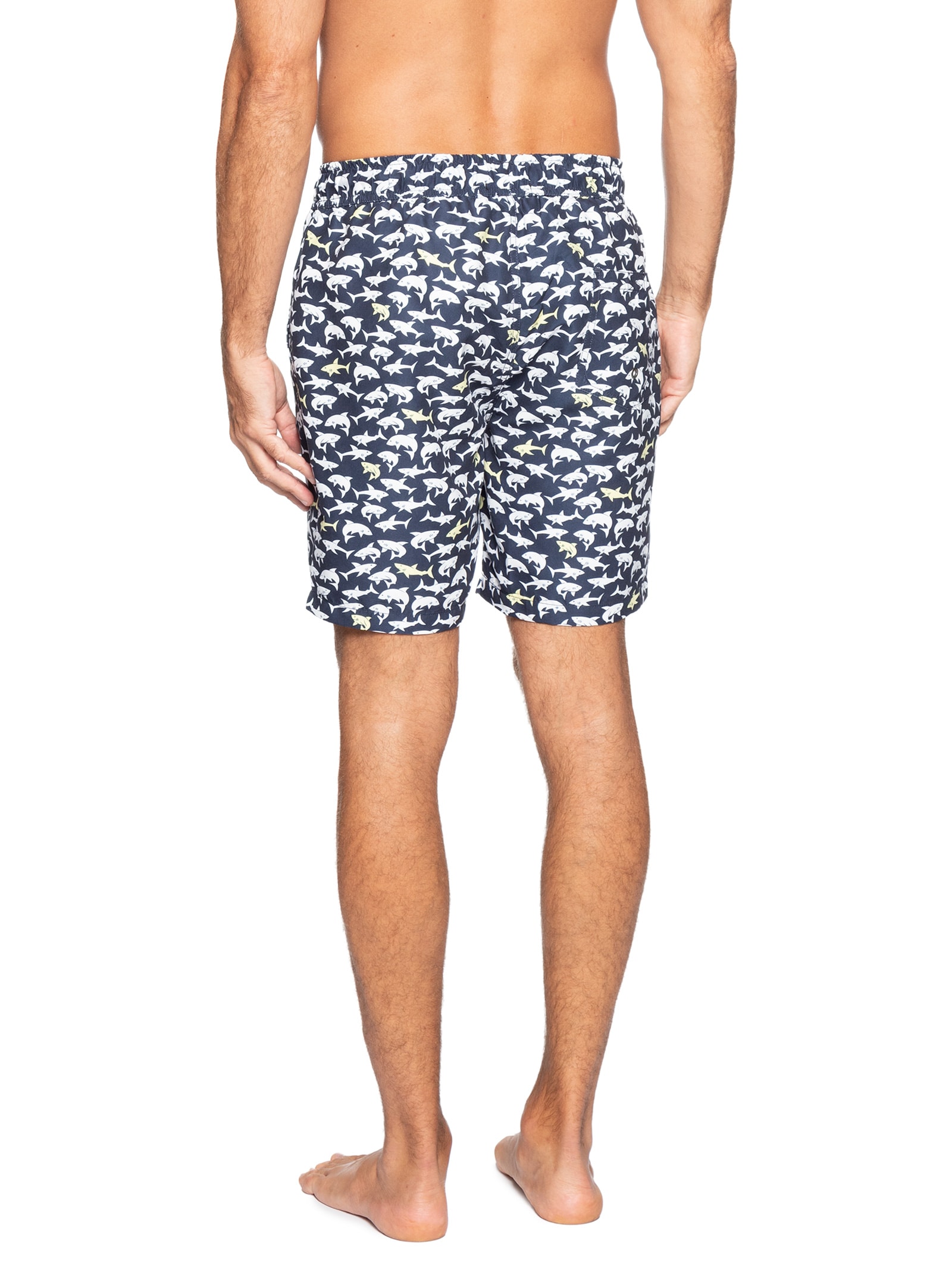 Short Masculino Beachwear Estampa Tubarão Azul Basiq Men