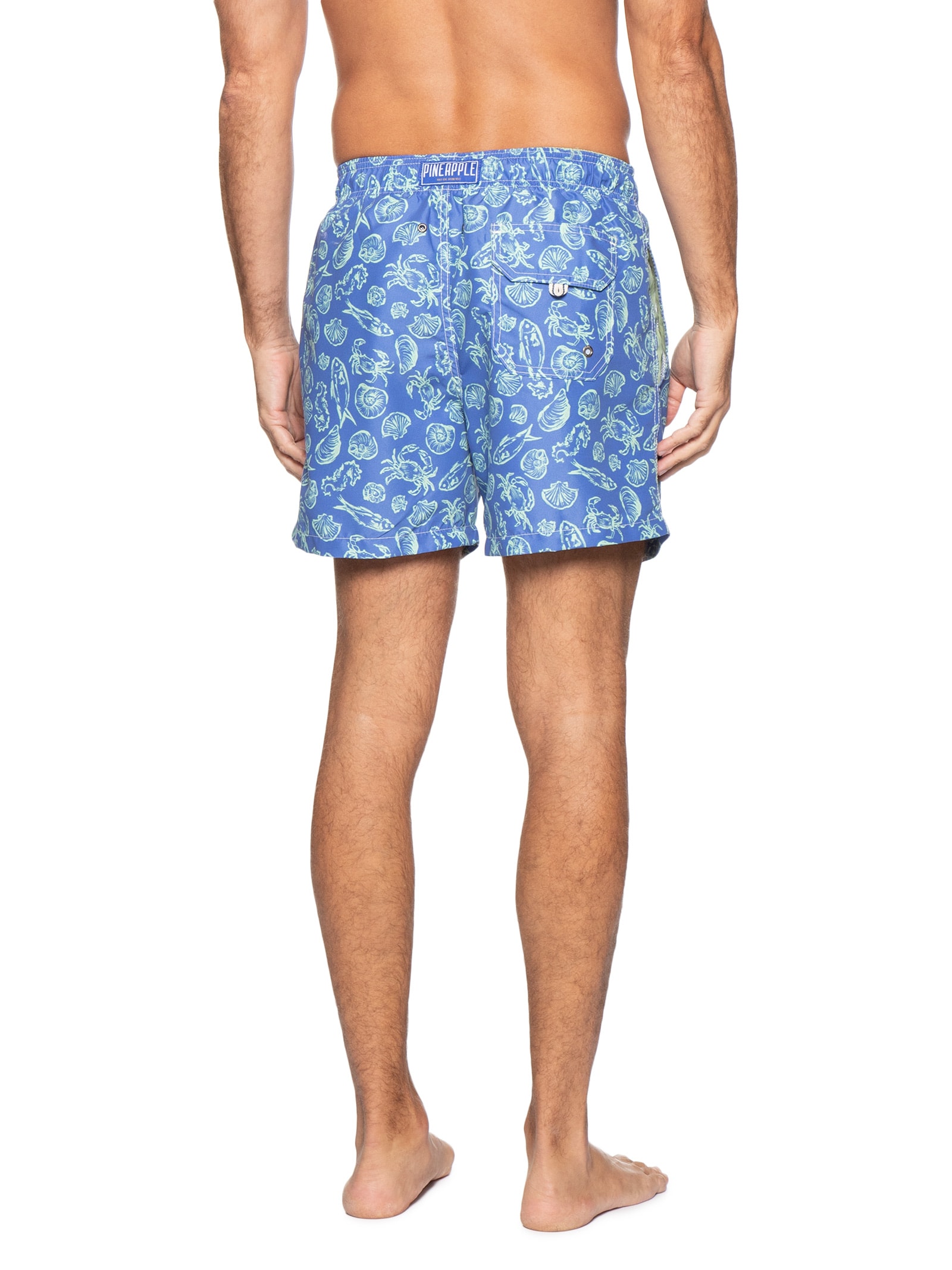 Short Masculino De Praia Estampa Marítimo Azul Pineapple