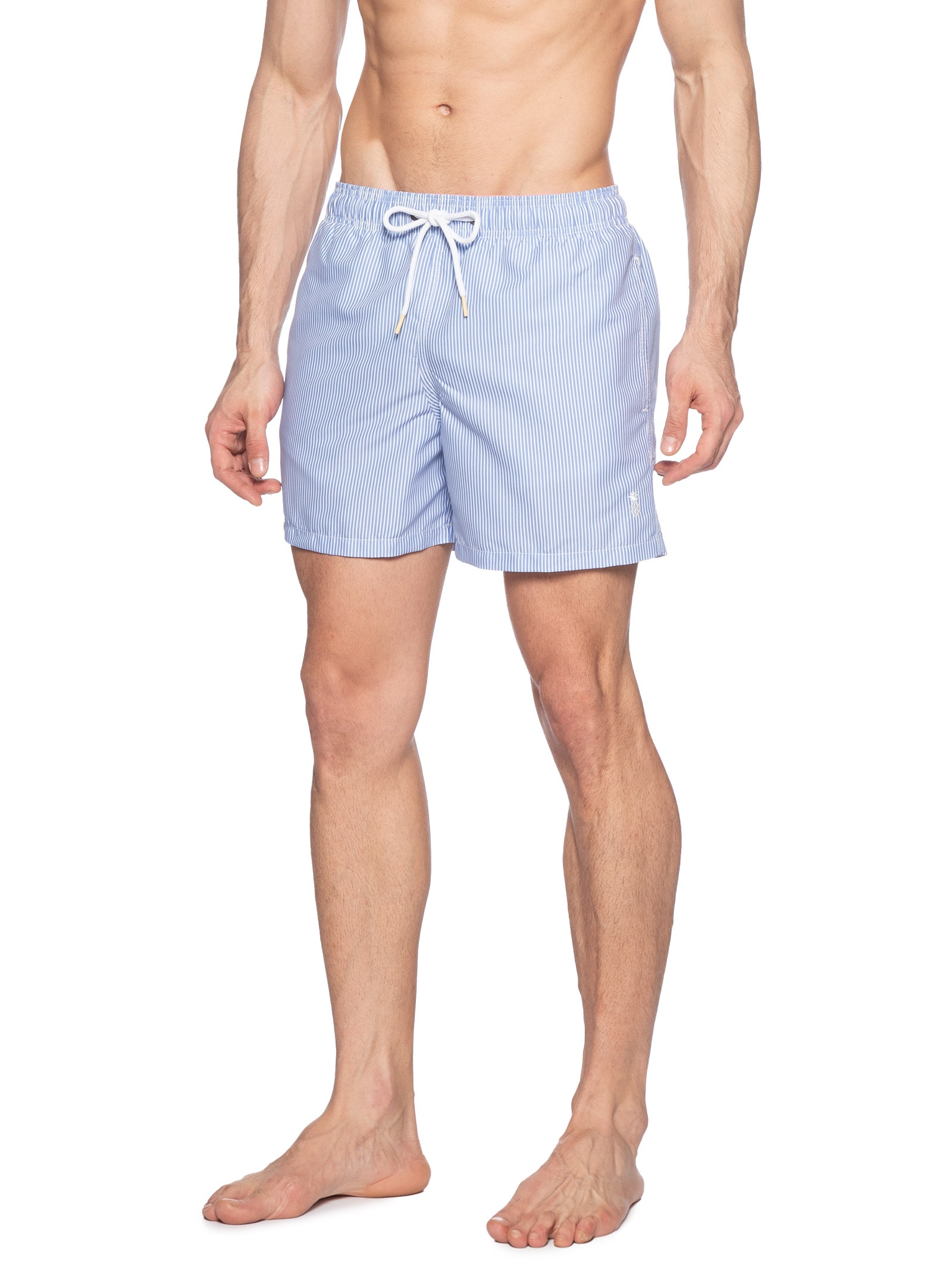 Short Masculino Praia Resort Azul Pineapple