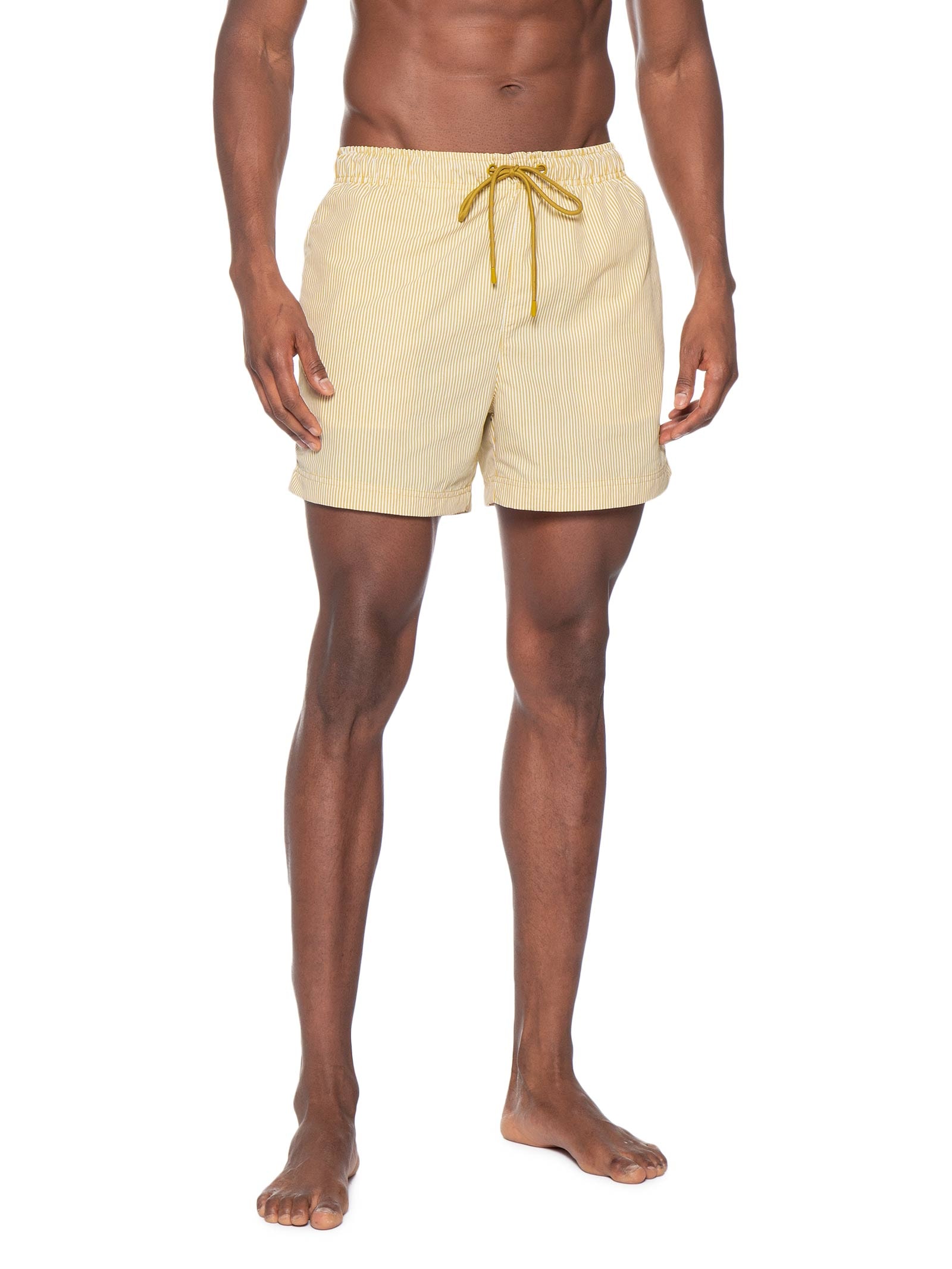 Shorts De Praia Masculino Listrado Bege Hering