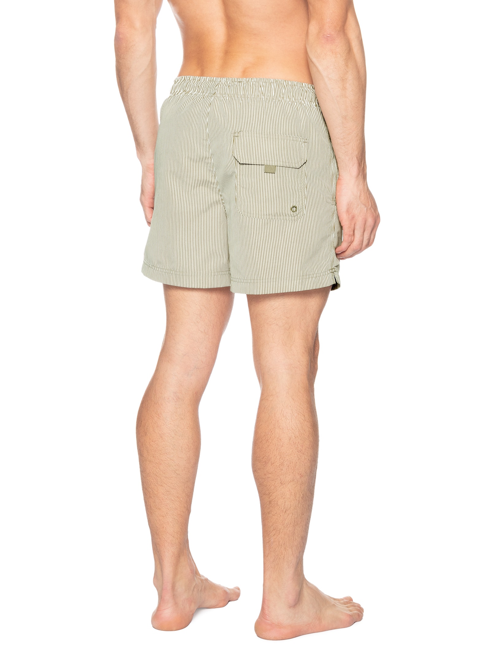 Shorts de Praia Masculino Listrado Verde Hering