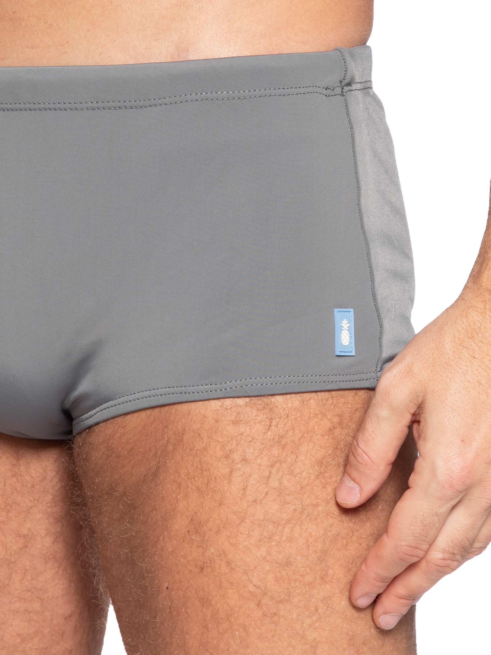 Sunga Masculina Faixas Cinza Pineapple