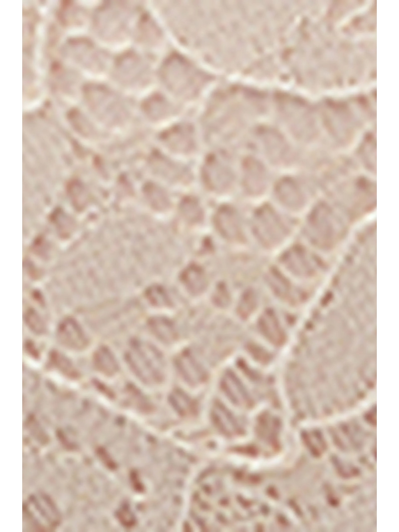 Sutiã Balconette Sofia Em Renda Off-White Intimissimi