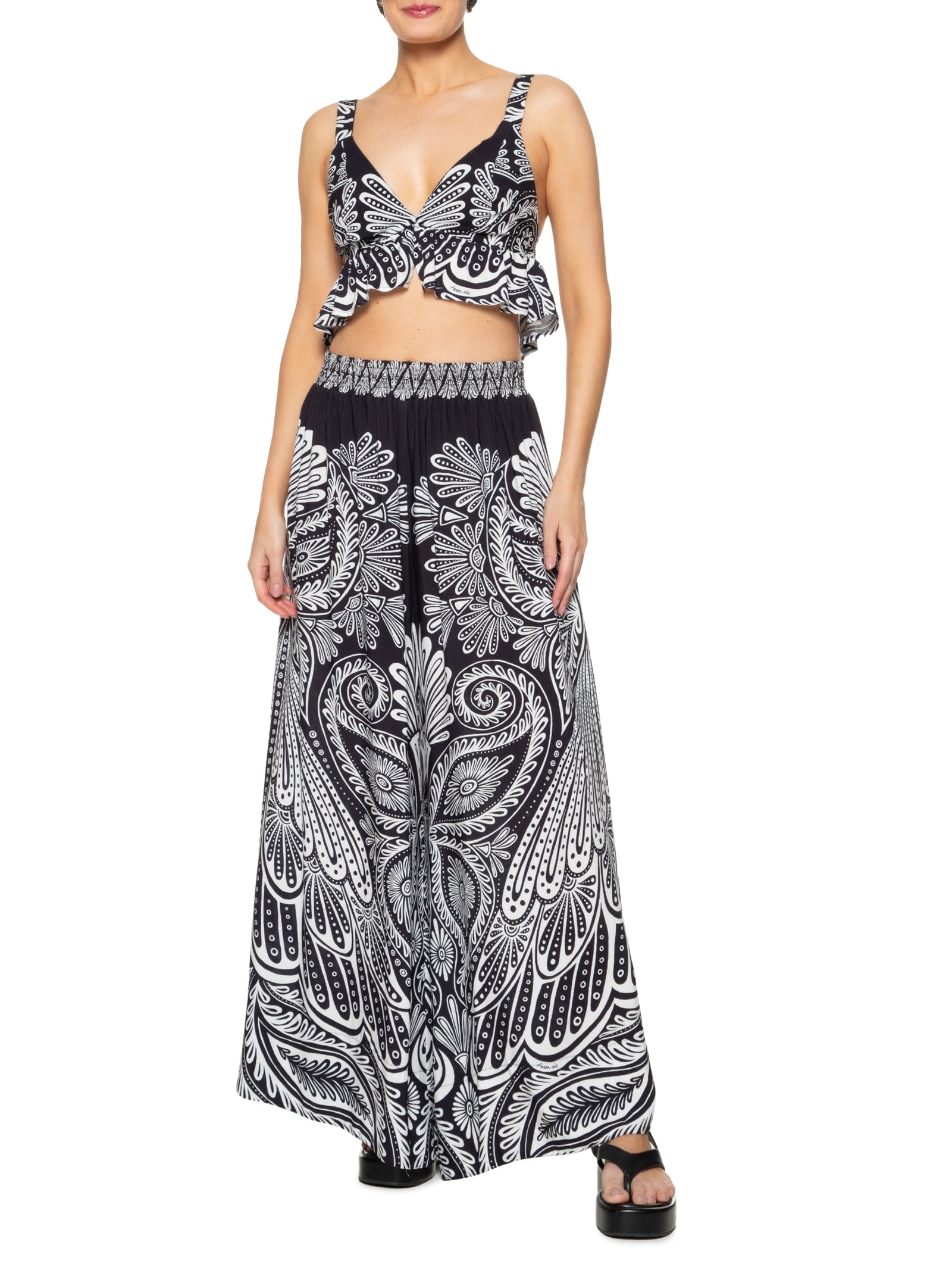 Top Papillon Preto  Farm