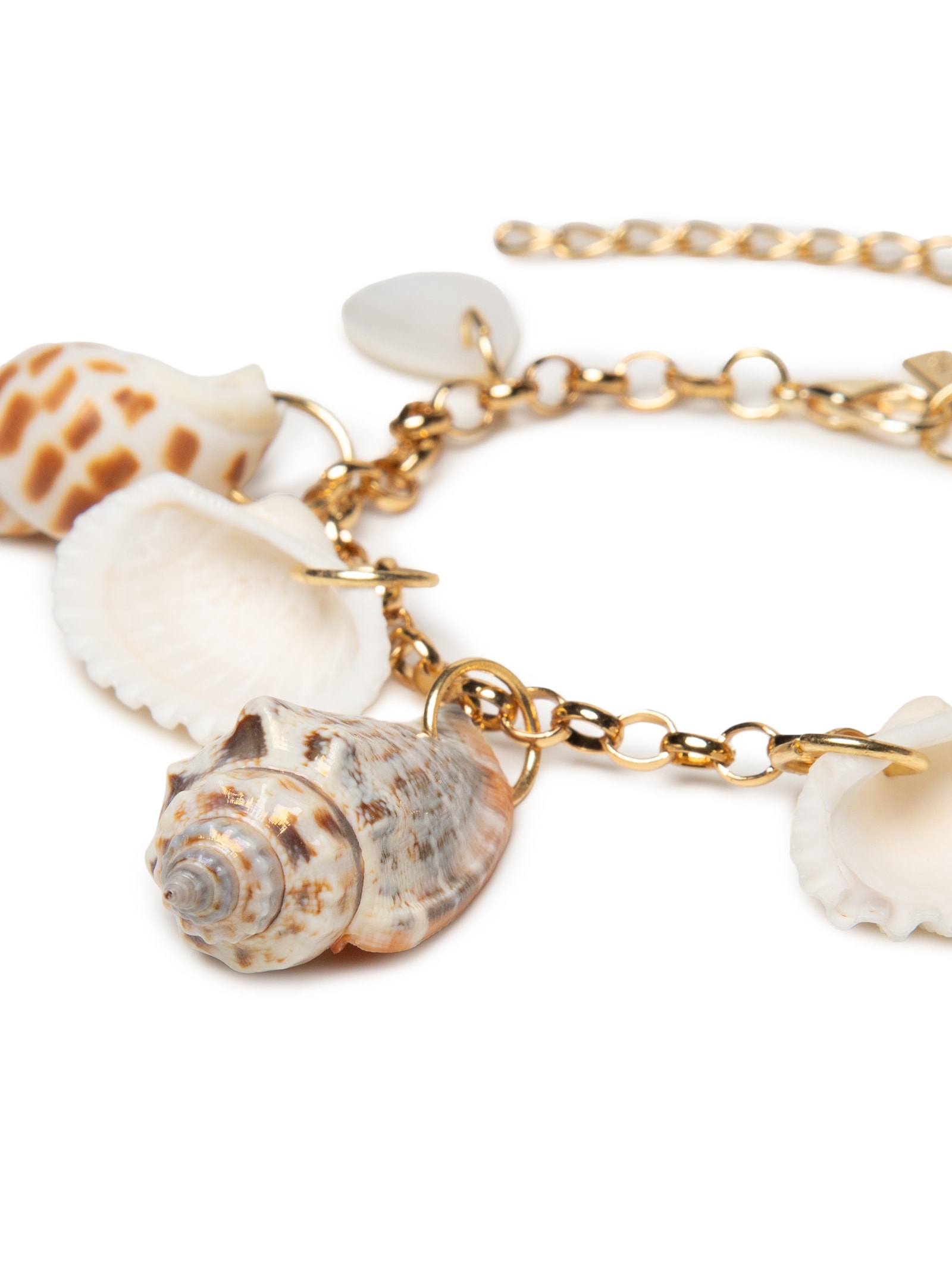 Tornozeleira Feminina Conchas Maré Dourado Dress To