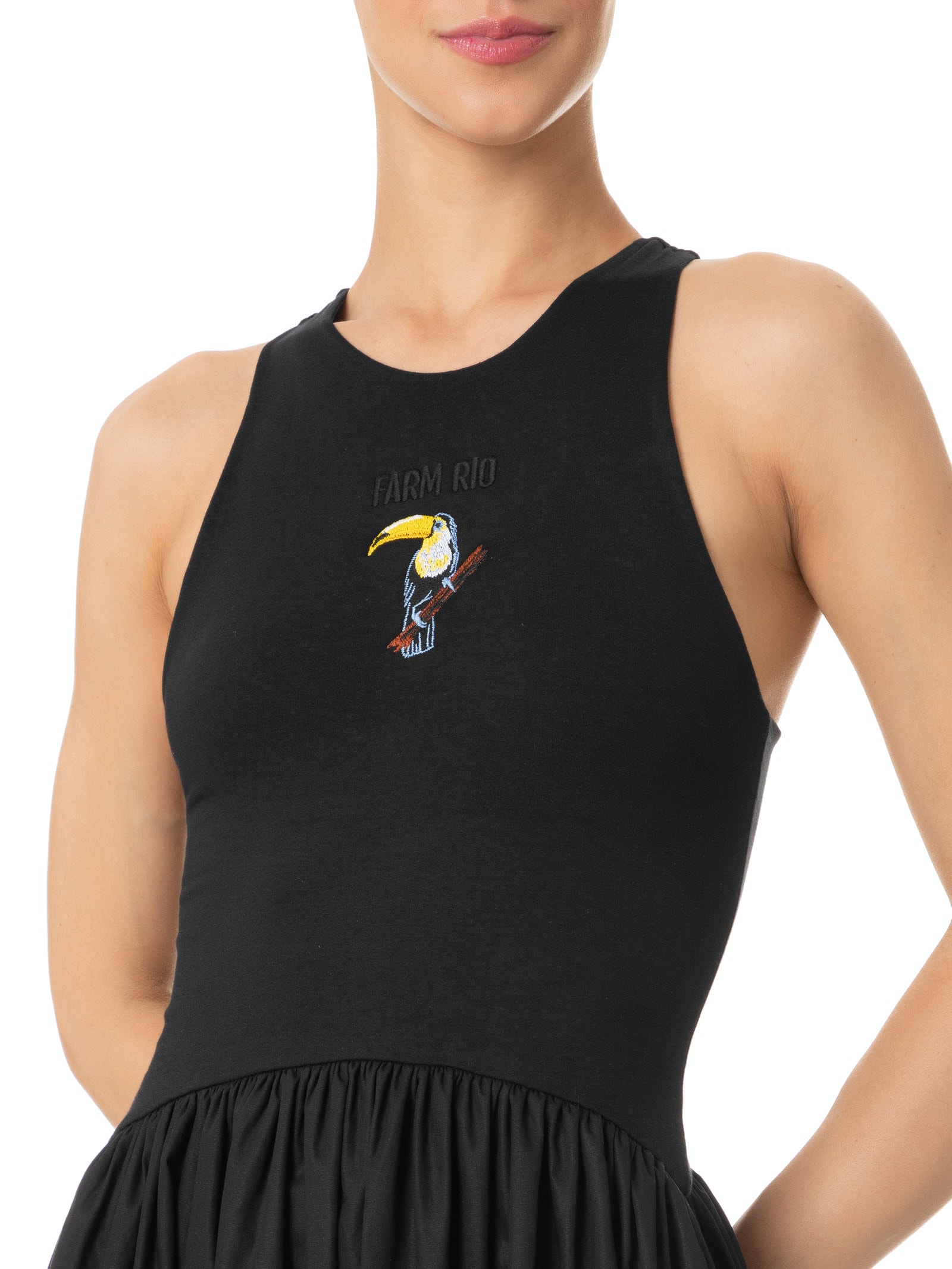 Vestido Balonê Bordado Preto Farm