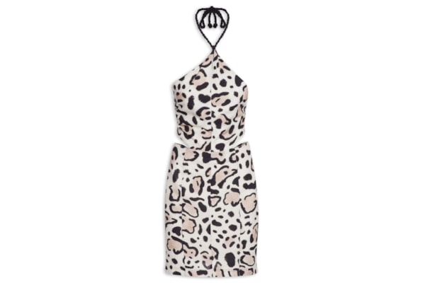 Vestido Curto Estampa Savana Coleção Môn - Animal Print