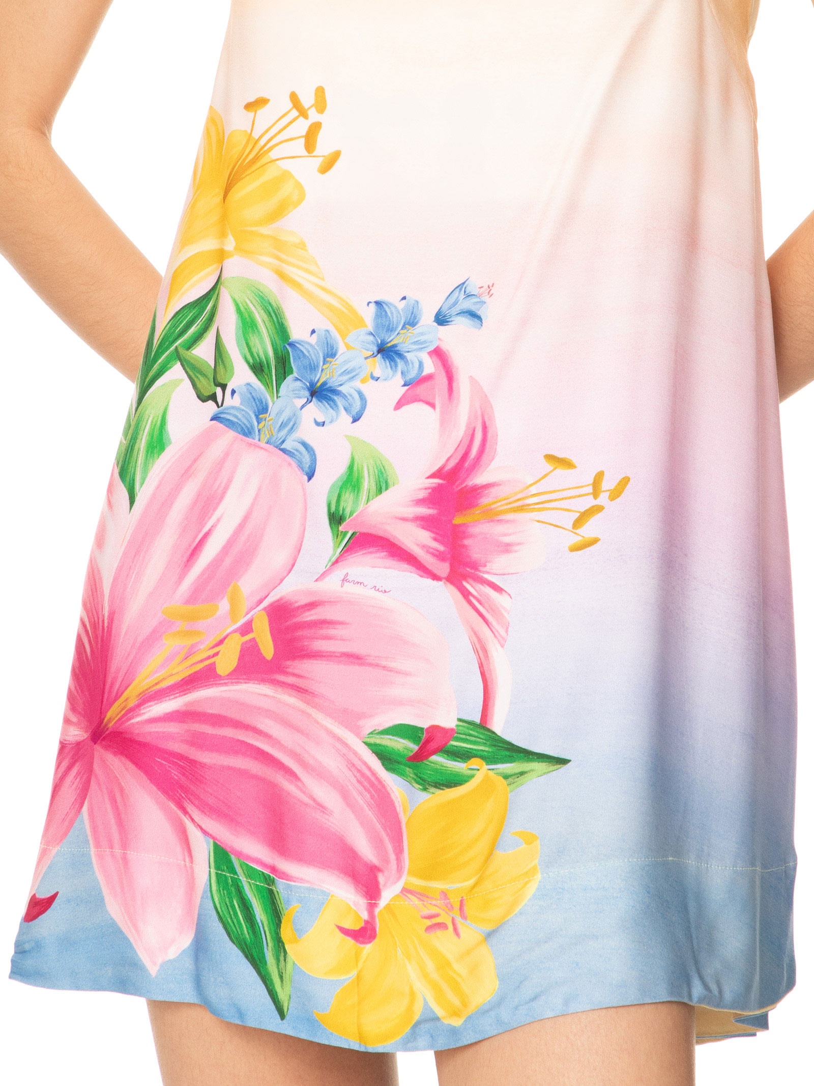 Vestido Curto Floral Lena Rosa Farm