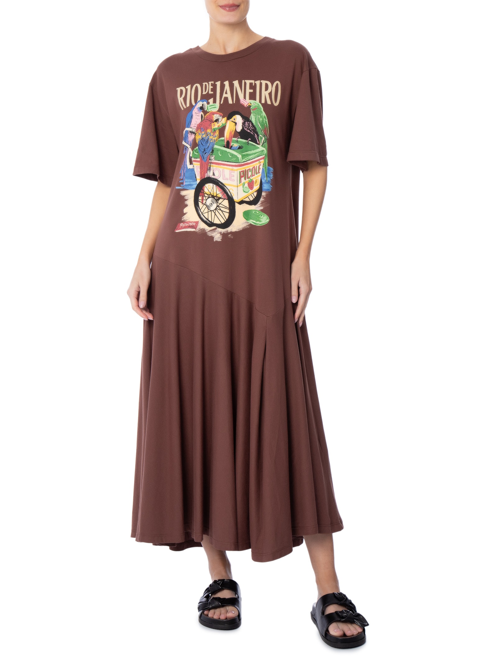 Vestido Pássaros Com Picolé Marrom Farm